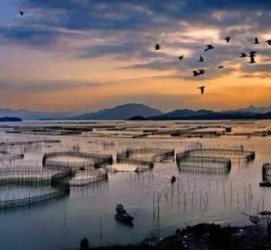 滦南伴游中国网景点丰富(旅游网介绍)
