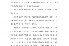 滦南旅游感想(张家界旅游感想)