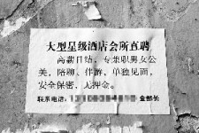 滦南珠海伴游雇用网(珠海游览社雇用信息)