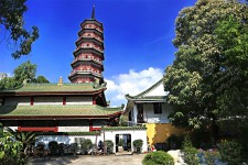 滦南广州自由行(广州 自由行)