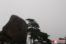 滦南上海伴游私家陪游雇用女模(上海伴游私家陪游雇用女模特)