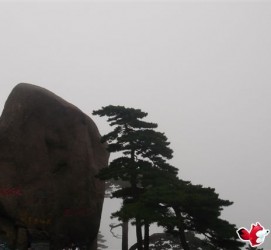 滦南上海伴游私家陪游雇用女模(上海伴游私家陪游雇用女模特)
