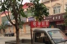 滦南上海伴游 用伴游造句大全(5