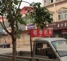 滦南上海伴游 用伴游造句大全(5