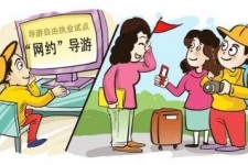 滦南伴游是什么