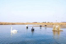 滦南南昌附近伴游小妹兼职(1534939978姐的微信德惠市)