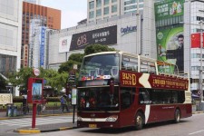 滦南上海私人伴游 上海过年怎么玩？这些“微游”线路了解下→