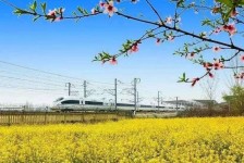 滦南高铁游(高铁游戏下载手机版)