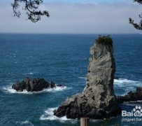 滦南旅游全攻略(上海旅游全攻略)