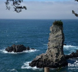滦南旅游全攻略(上海旅游全攻略)