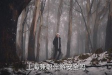 滦南上海私人伴游 上海伴游，上海兼职伴游安全吗