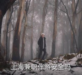 滦南上海私人伴游 上海伴游，上海兼职伴游安全吗