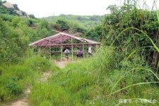 滦南北海伴游兼职雇用信息(北海伴游兼职雇用信息大全)