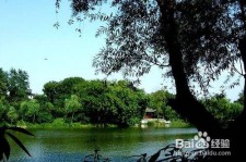 滦南西湖旅游攻略(上海到杭州西湖旅游攻略)