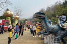 滦南中国伴游带你打卡网红南山竹海(南山竹海网上预约)