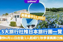 滦南旅游价格(旅游价格机制)
