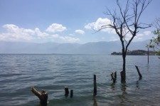 滦南洱海旅游攻略(洱海旅游攻略自由行)