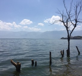 滦南洱海旅游攻略(洱海旅游攻略自由行)