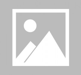 滦南全国男伴游雇用信息(哪里有雇用男士伴游的)