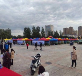 滦南通辽伴游雇用(哈尔滨伴游雇用)