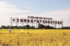 滦南关于成都商务伴游外围雇用的信息