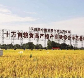 滦南关于成都商务伴游外围雇用的信息