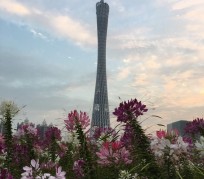 滦南广州旅游攻略(杭州到广州旅游攻略)