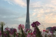 滦南广州旅游攻略(杭州到广州旅游攻略)