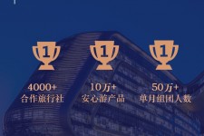 滦南上海私人伴游 ​ “小而美”的新时代：2020年国内新跟团消费报告