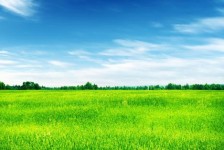 滦南上海伴游 上海模特伴游微信号的交友宣言