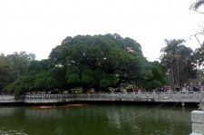 滦南福州旅游攻略(福州旅游攻略二日游)