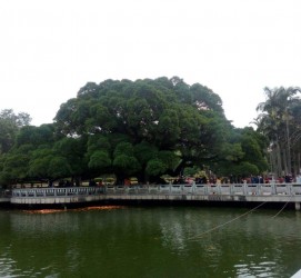 滦南福州旅游攻略(福州旅游攻略二日游)