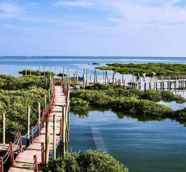 滦南旅游哪里好玩(云南旅游哪里好玩)