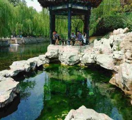滦南济南旅游攻略(青岛威海济南旅游攻略)