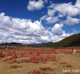 滦南旅游去处(暑期最好的旅游去处)