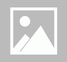滦南私人伴游 黄金周里动“黄”经 天津又现“私人陪游”逆流