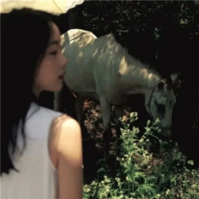 滦南私家伴游让你拥有一次完美的旅游体验